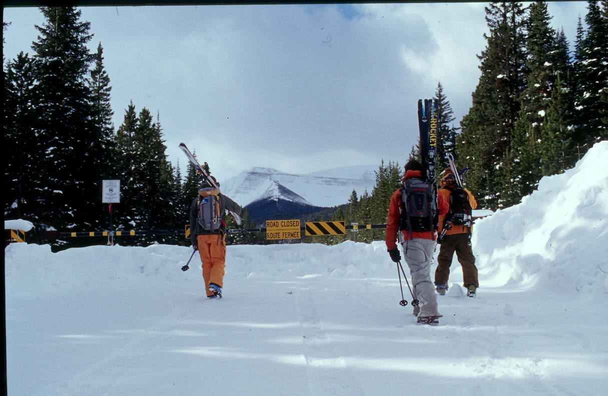 Ski touring Waterton Lake National Park Fresh Skis